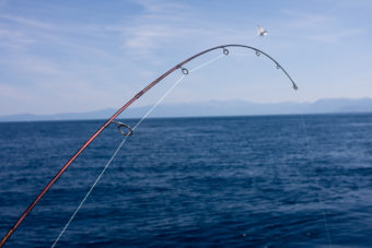 Best Fishing Guides Lake Tahoe California