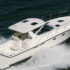 Allwater Charters and Boat Rentals