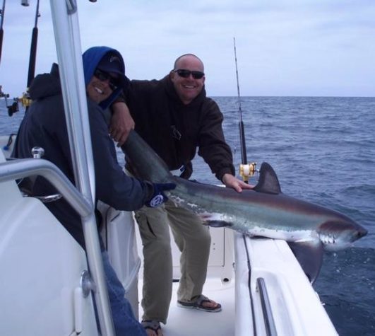 California Shark Fishing Southern CA 531x475
