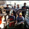 Express Tuna Fishing Charters Westport