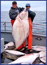 North Country Halibut Charters  Homer