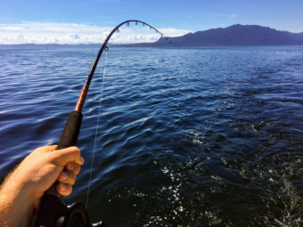 Blackmouth Salmon Fishing in Washington’s Puget Sound