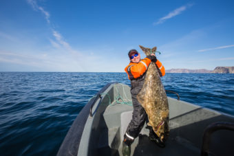 Fishing for Monsters in Homer, Alaska’s Halibut Capital